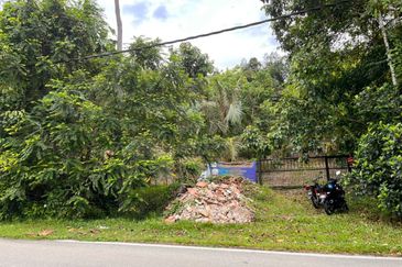 Kebun Durian 1.12 ekar Tepi Jalan Hulu Rening , Batang Kali Bumi Lot