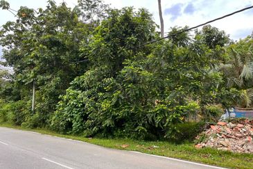 Kebun Durian 1.12 ekar Tepi Jalan Hulu Rening , Batang Kali Bumi Lot