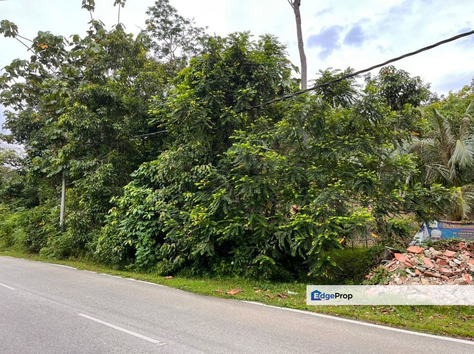 Kebun Durian 1.12 ekar Tepi Jalan Hulu Rening , Batang Kali Bumi Lot, Selangor, Batang Kali