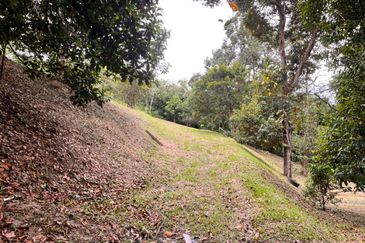 Kebun Durian 1.12 ekar Tepi Jalan Hulu Rening , Batang Kali Bumi Lot