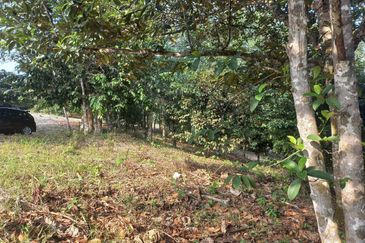 Tanah Dusun Hulu Rening, Batang Kali  2 Ekar  Malay Reserved