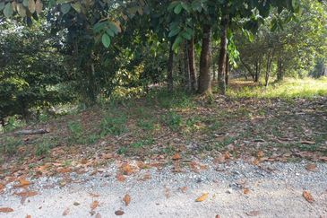 Tanah Dusun Hulu Rening, Batang Kali  2 Ekar  Malay Reserved