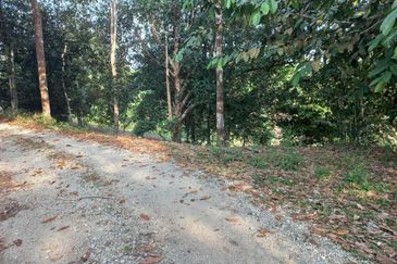 Tanah Dusun Hulu Rening, Batang Kali  2 Ekar  Malay Reserved