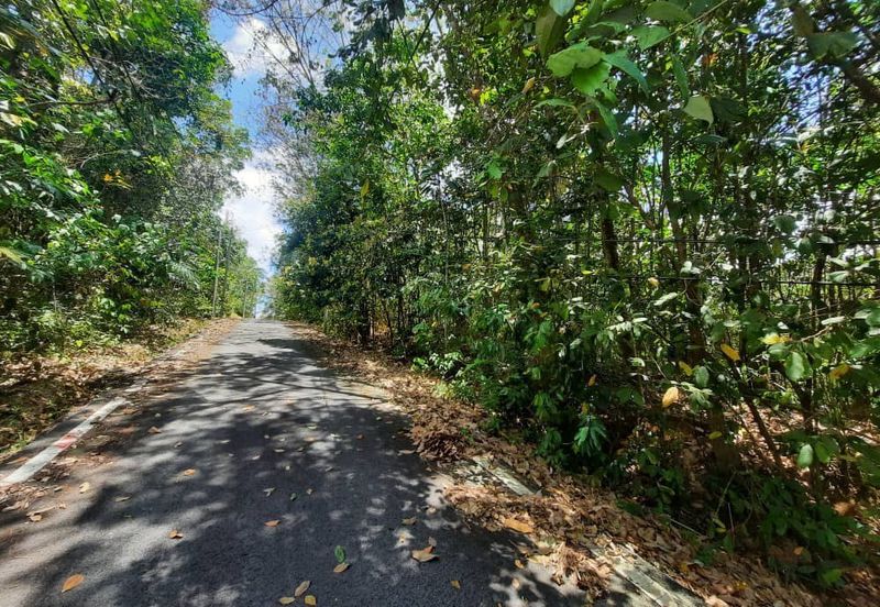 Persiaran Desa Pinggiran Putra 