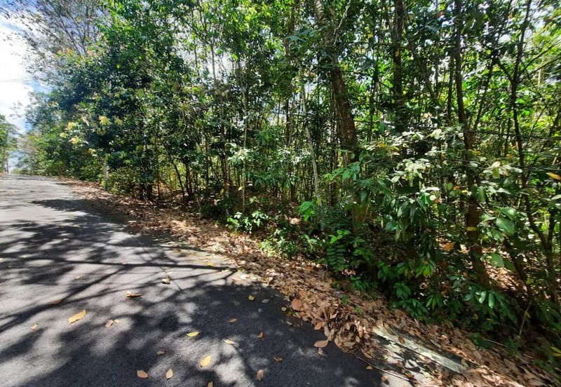 Persiaran Desa Pinggiran Putra 