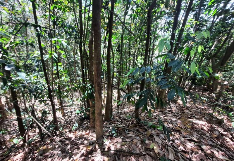 Persiaran Desa Pinggiran Putra 