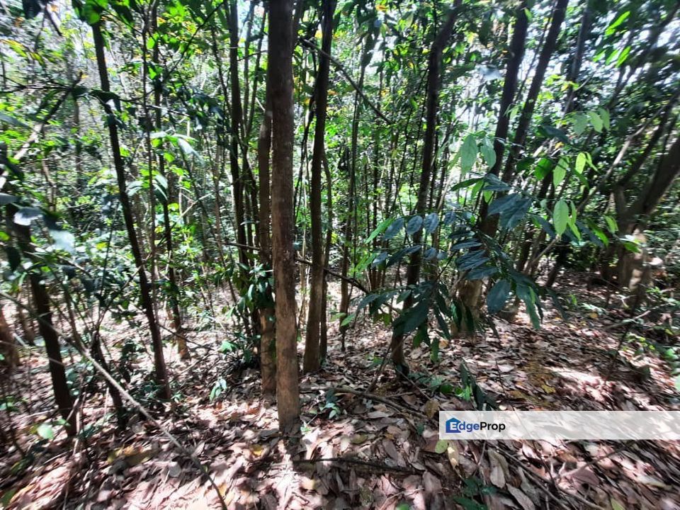 1 Ekar Residential Land Tanah Desa Pinggiran Putra Putrajaya, Selangor, Putrajaya