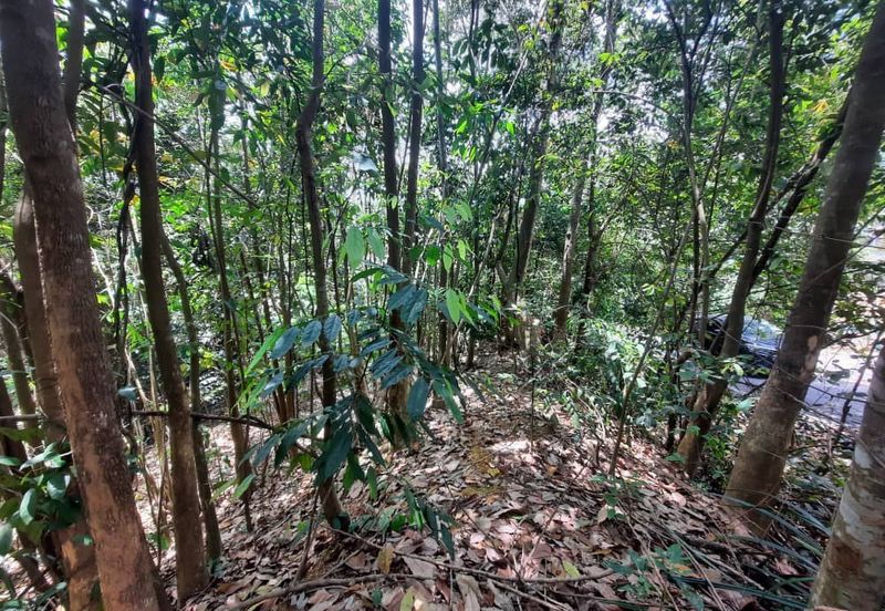 Persiaran Desa Pinggiran Putra 