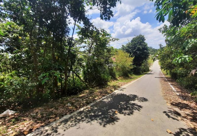 Persiaran Desa Pinggiran Putra 