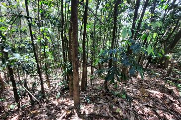 Persiaran Desa Pinggiran Putra 