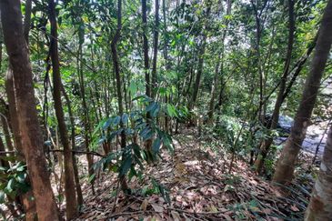 Persiaran Desa Pinggiran Putra 