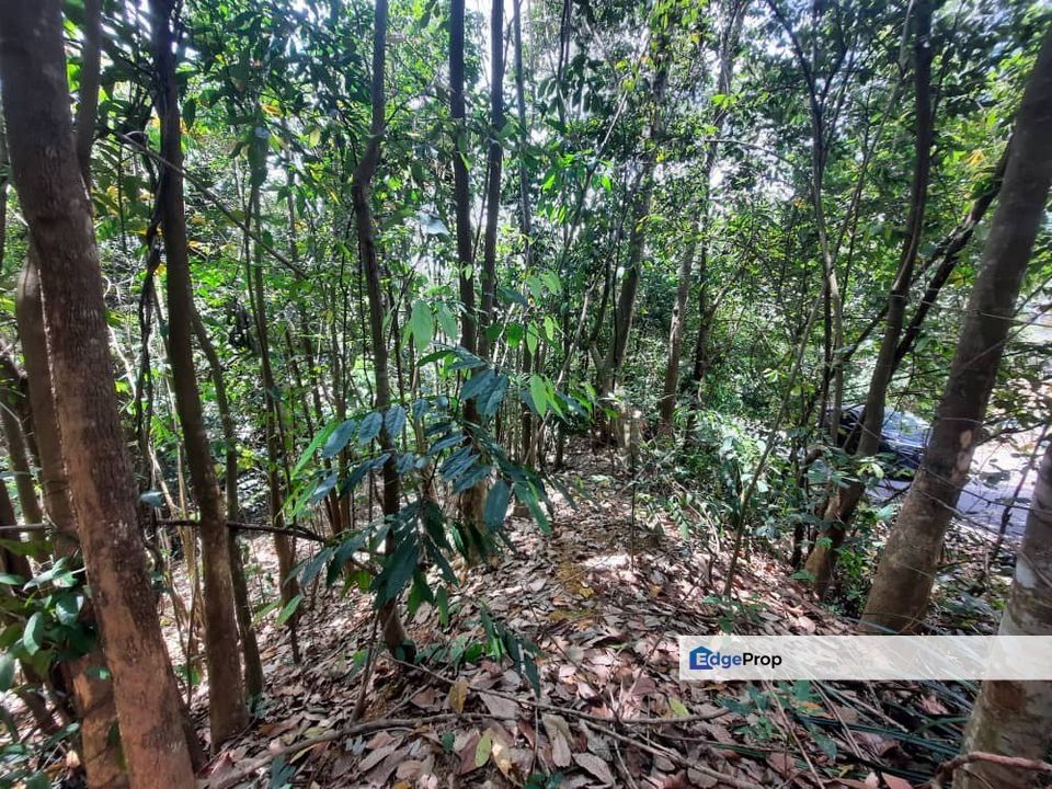 1 EKAR Tanah kosong Jalan Limau Bali Desa Pinggiran Putra Putrajaya, Selangor, Bangi