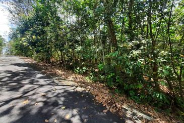 Persiaran Desa Pinggiran Putra 