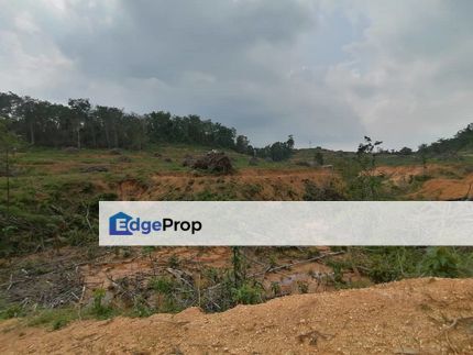 10 Acre Residential Zoning Sebelah Kampung Rasa Tambahan Freehold, Selangor, Hulu Selangor