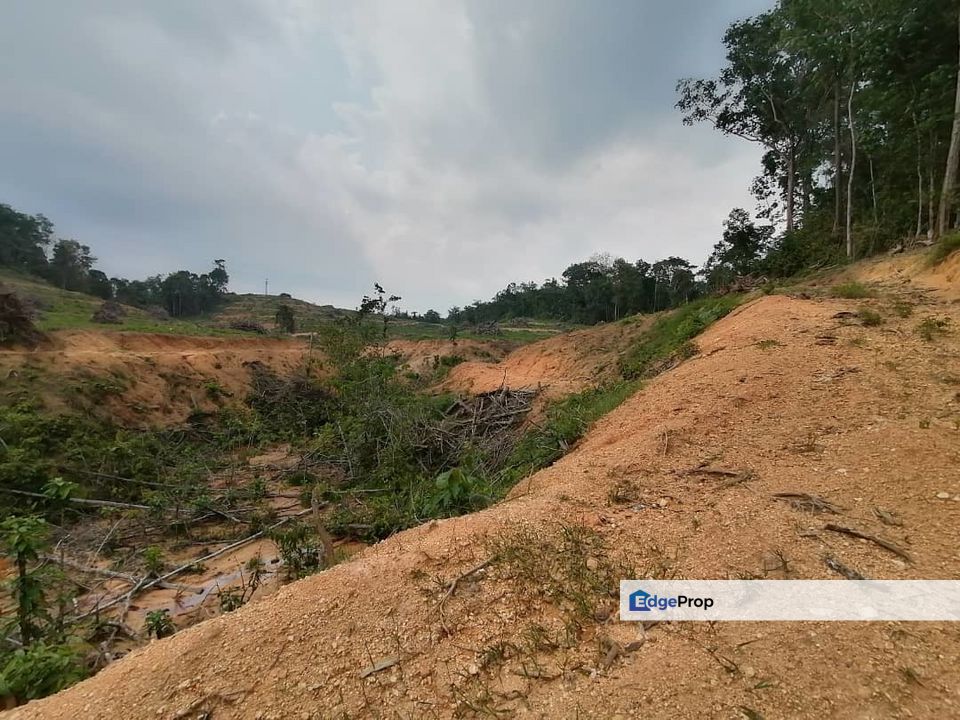 10 Acre Residential Zoning Sebelah Kampung Rasa Tambahan Freehold, Selangor, Hulu Selangor