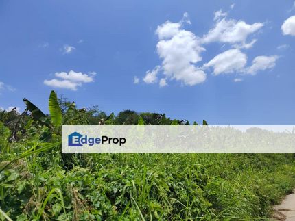 Sungai Serian, Kalumpang 5 Acre Agri Land Freehold Non Bumi Good Acces, Selangor, Kerling