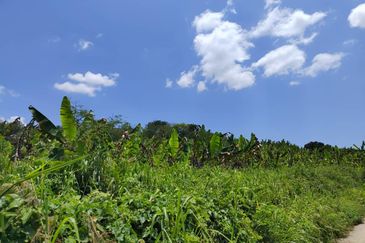 Kerling Industrial Land