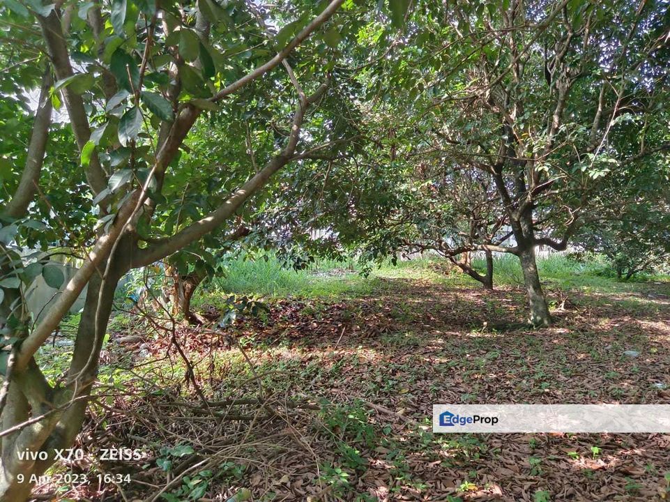 Bungalow Lot 80x100 Freehold Kampung Changkat Gombak, Kuala Lumpur, Gombak