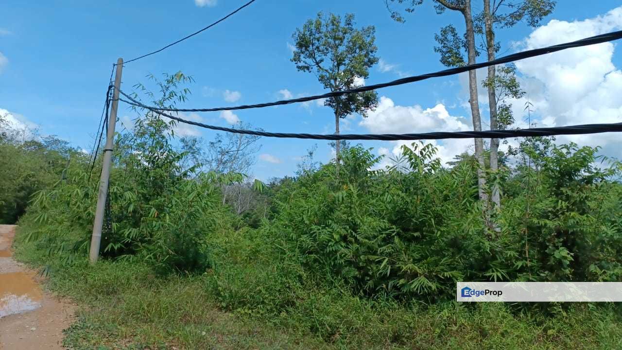 Ampang Pechah 3.9 Acre Freehold Non Bumi with Electicity, Selangor, Hulu Selangor