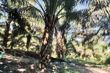 Kerling Industrial Land