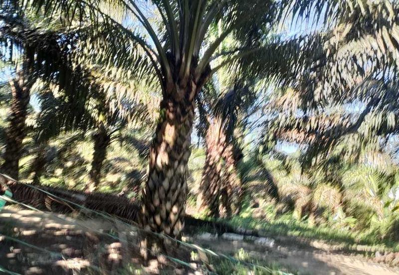 Kerling Industrial Land