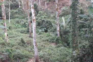 Kerling Industrial Land