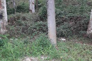 Kerling Industrial Land