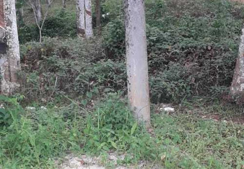 Kerling Industrial Land