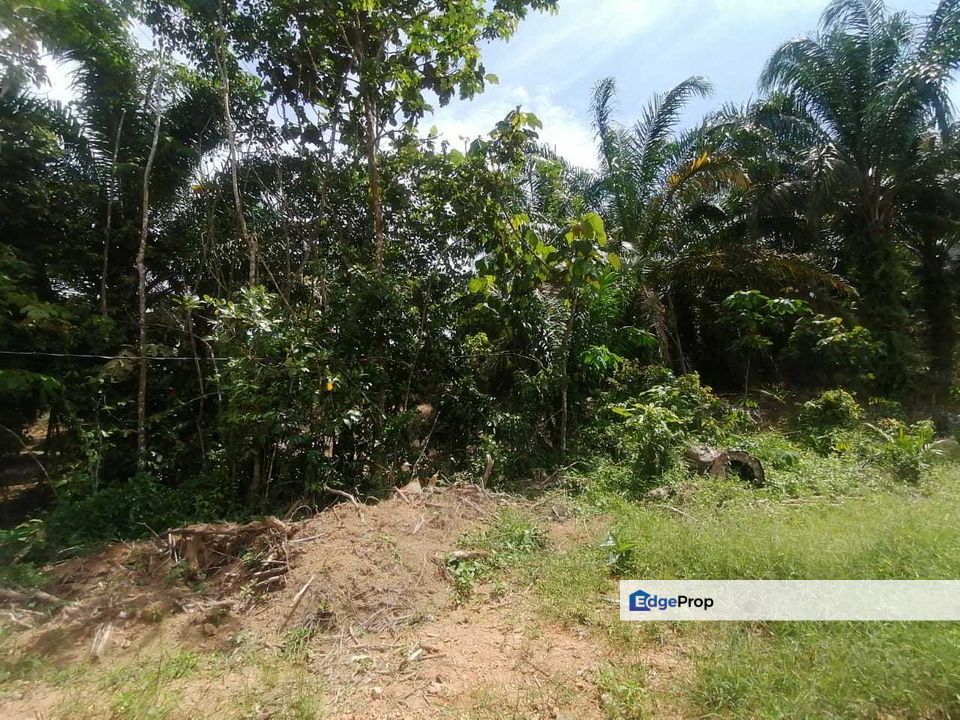 49 ac Taman Rening Jaya Ampang Pecah, Freehold Non Bumi  Sarang Walit, Selangor, Hulu Selangor