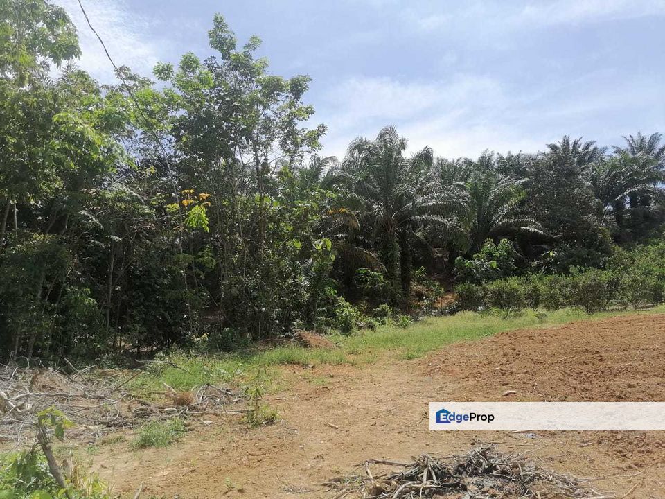 49 ac Taman Rening Jaya Ampang Pecah, Freehold Non Bumi  Sarang Walit, Selangor, Hulu Selangor