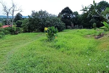 Kampung Melayu Sungai Buloh