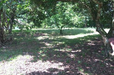 Kampung Melayu Sungai Buloh