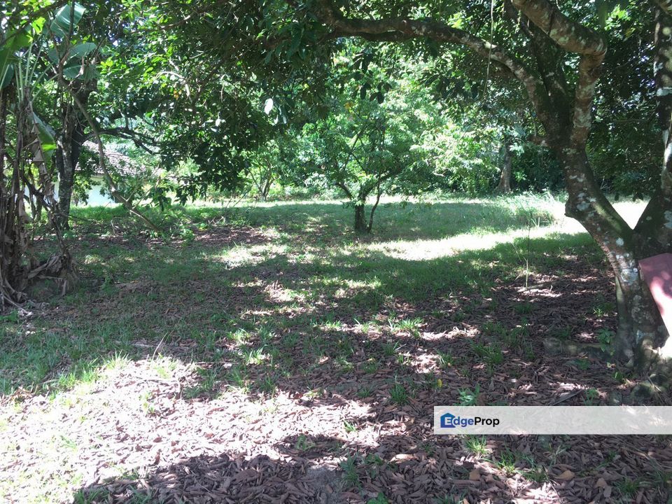 Banglo 6 bilik  Dalam Dusun Buahan 1 Ekar di Kg Merbau Sempak, Selangor, Sungai Buloh