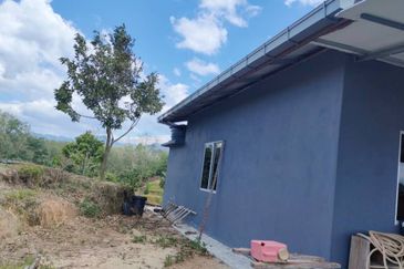 Freehold Sg Jang Hulu Selangor 2.5 Acre Dusun Musang King