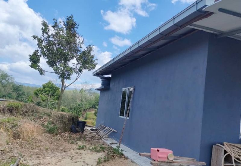 Freehold Sg Jang Hulu Selangor 2.5 Acre Dusun Musang King