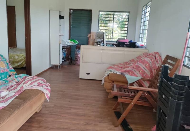 Freehold Sg Jang Hulu Selangor 2.5 Acre Dusun Musang King