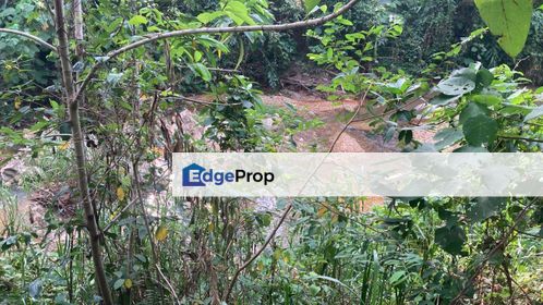 Tanah Pertanian Ada Sungai 1.15 Acre Next Tmn Tempua Bestari,Kalumpang, Selangor, Hulu Selangor
