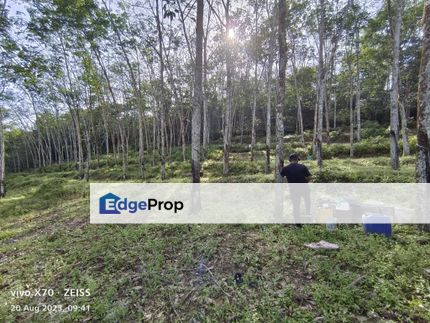 2.5 Acre Tanah Pertanian Kampung Jawa Kerling Hulu Selangor Freehold, Selangor, Hulu Selangor