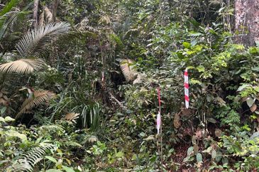 Jalan Kekwa, Taman Serendah Makmur