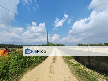 10 acre Agri Land Freehold Non Bumi at Batang Kali With Electricity, Selangor, Batang Kali