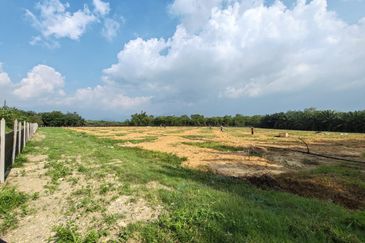 10 acre Agri Land Freehold Non Bumi at Batang Kali With Electricity