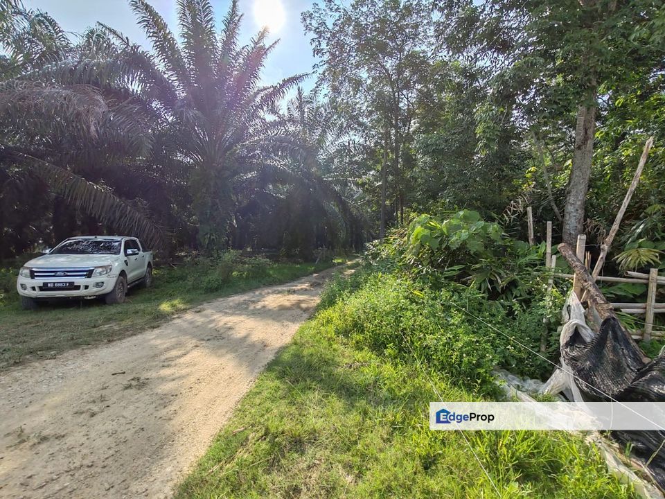 10 acre Agri Land Freehold Non Bumi at Batang Kali With Electricity, Selangor, Batang Kali