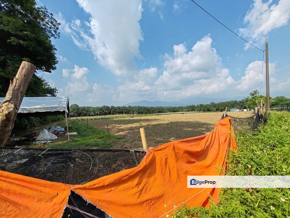 10 acre Agri Land Freehold Non Bumi at Batang Kali With Electricity, Selangor, Batang Kali