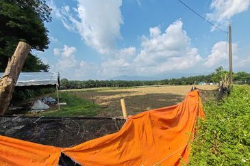 10 acre Agri Land Freehold Non Bumi at Batang Kali With Electricity