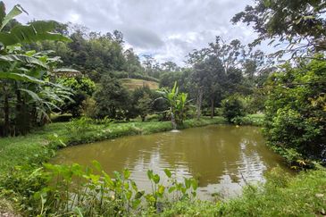 Kampung Sungai Lui