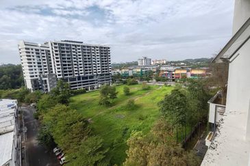 Suria Jelutong