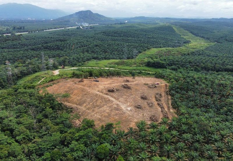 9 Ekar Residential Land ( 44 Geran Individu )  Kg Seri Serigala ,Ulu Bernam, Selangor