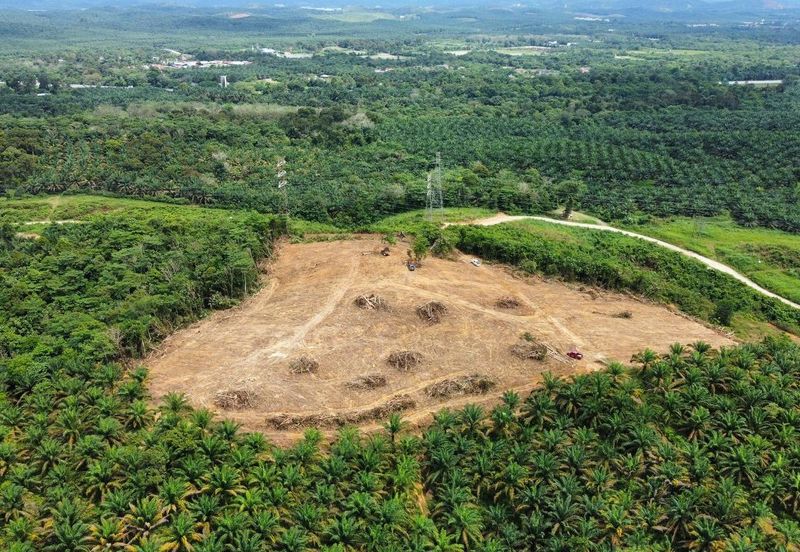 9 Ekar Residential Land ( 44 Geran Individu )  Kg Seri Serigala ,Ulu Bernam, Selangor