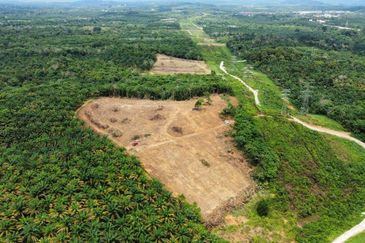 9 Ekar Residential Land ( 44 Geran Individu )  Kg Seri Serigala ,Ulu Bernam, Selangor