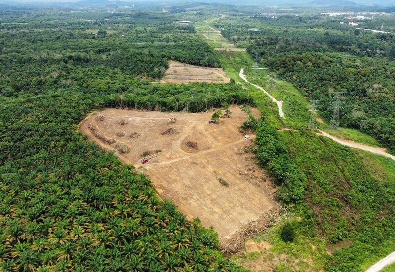 9 Ekar Residential Land ( 44 Geran Individu )  Kg Seri Serigala ,Ulu Bernam, Selangor